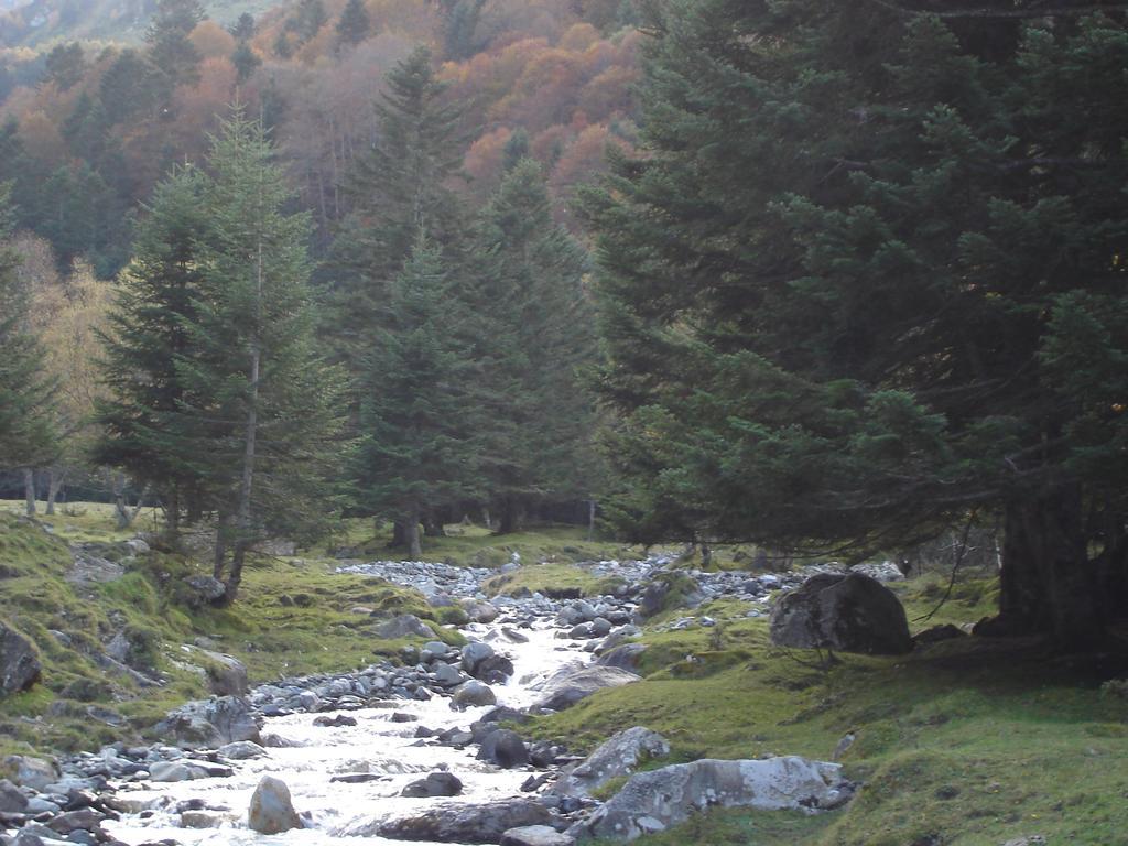 Gite Auberge Les Cascades La Mongie Buitenkant foto