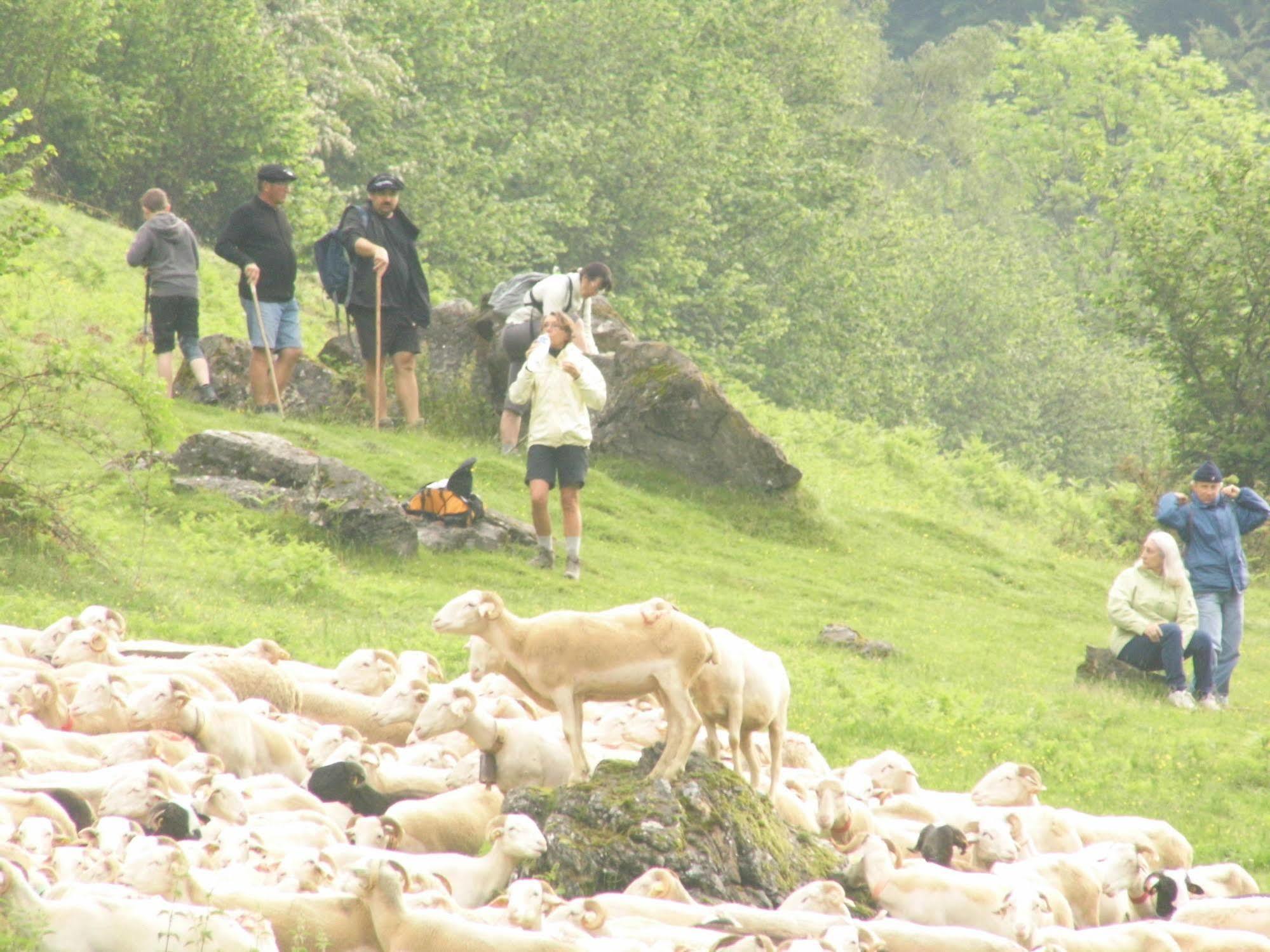 Gite Auberge Les Cascades La Mongie Buitenkant foto