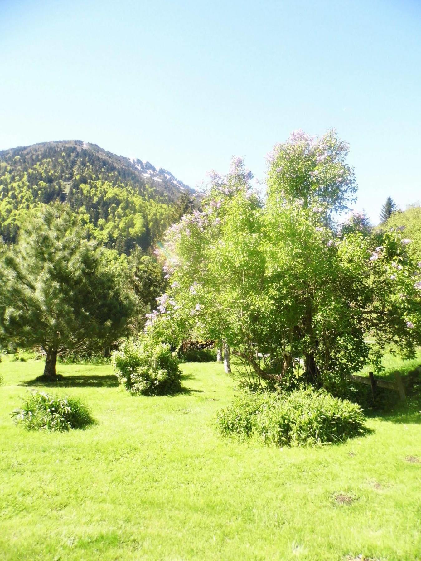 Gite Auberge Les Cascades La Mongie Buitenkant foto